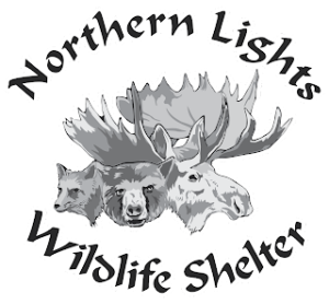 Northern Lights Wildlife Shelter logo 